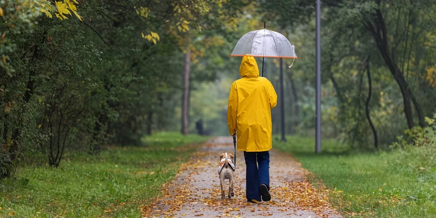 Из-за влияния циклона. Чем начало недели будет кардинально отличаться от ее второй половины, — прогноз погоды от Птухи