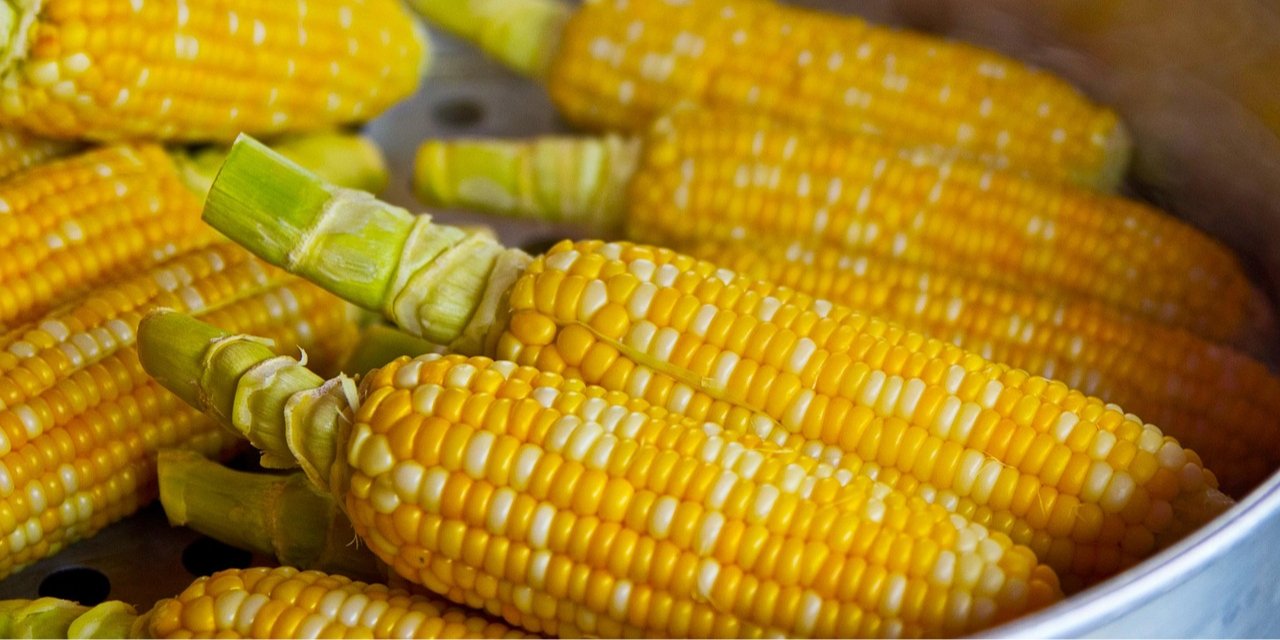 Женщина украла 377 початков кукурузы (Фото: keem1201/Pixabay)