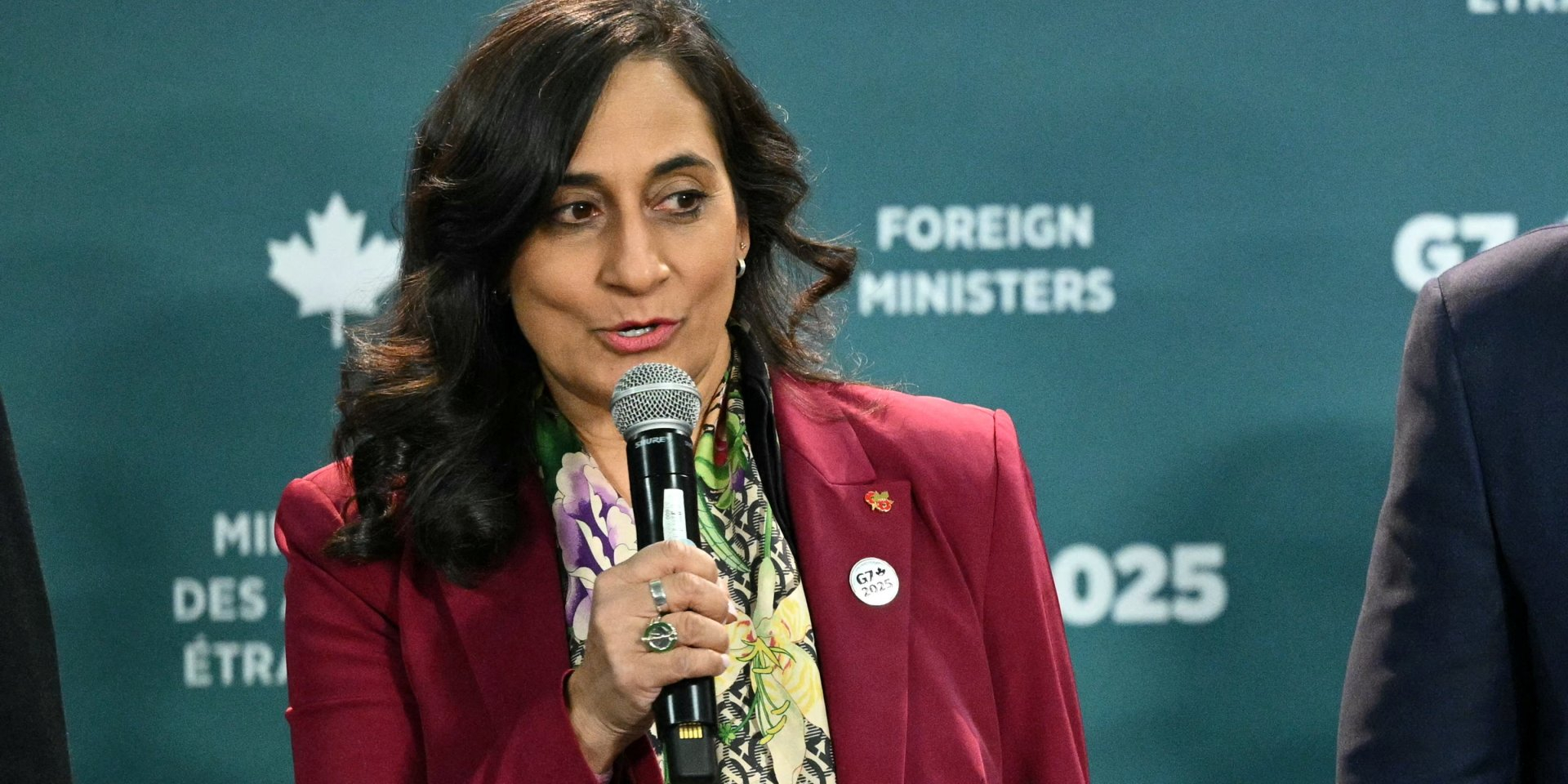 Anita Anand (Photo: MANDEL NGAN/Pool via REUTERS)