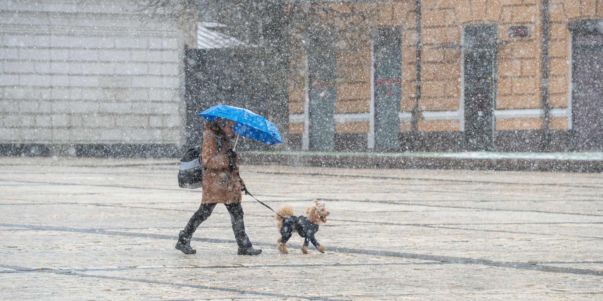 Украинцы вскоре почувствуют первое дыхание зимы (Фото: Antoniuk/Ukrinform/NurPhoto via Reuters)