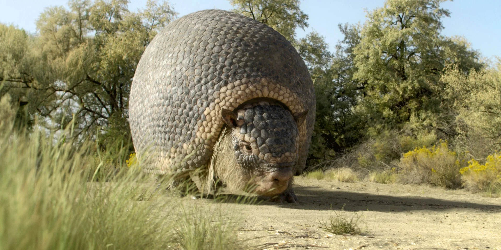 Нові фільми та серіали на Netflix, Apple TV+, Prime Video — прем'єри ...