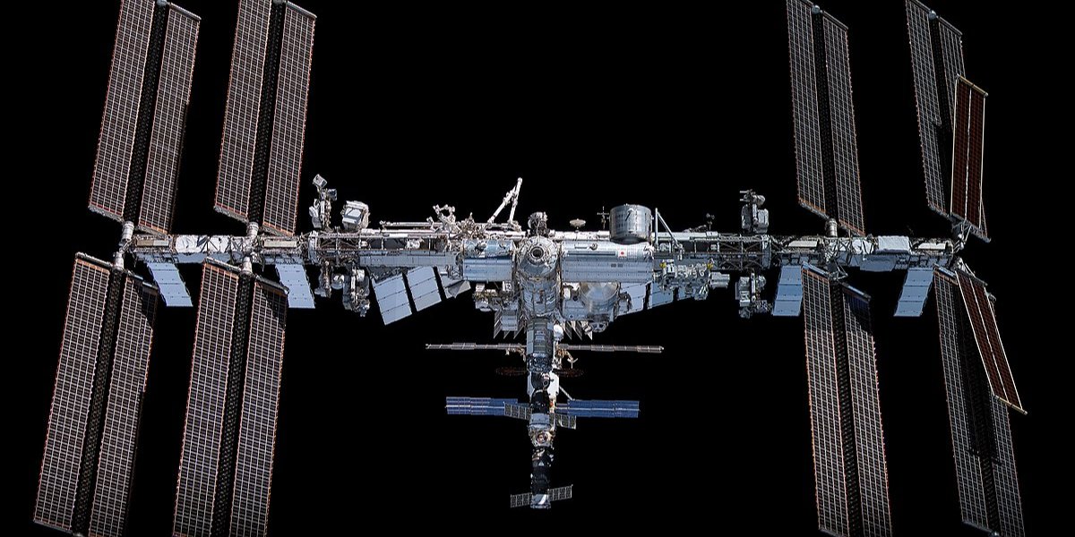 Черви полетят на МКС (Фото: Mohd Azri Azri Bin Subohi & NASA (United State) Mohd Azri Bin Subohi & NASA (United State))