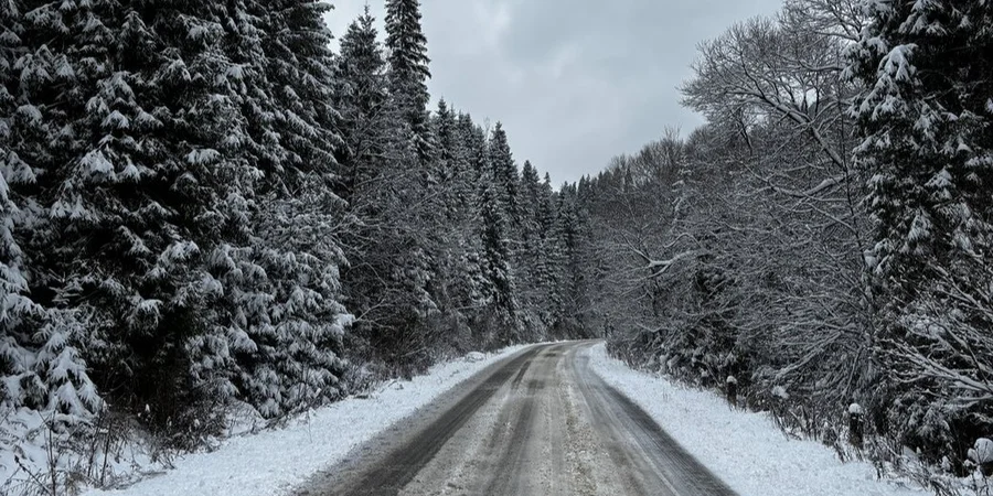 Часть Львовской области осталась без света из-за непогоды