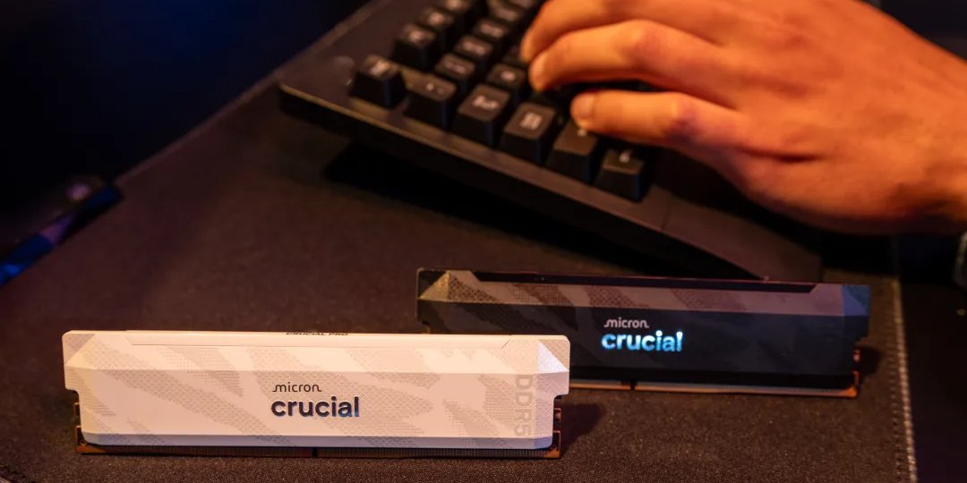 Закриття Crucial стало відчутним ударом для ентузіастів комп’ютерних збірок (Фото: Micron)