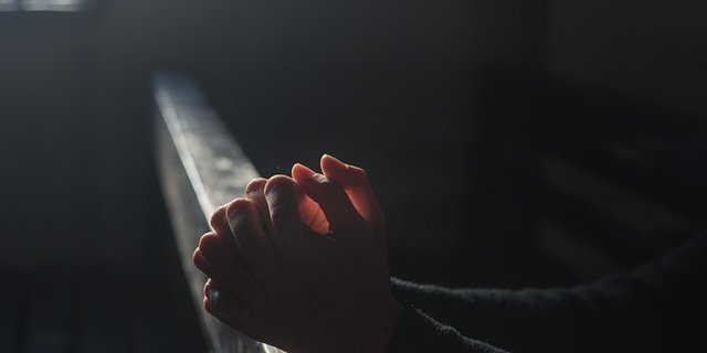 В основе исследования лежит изучение сверхслабого фотонного излучения (UPE) (Фото: pixabay)