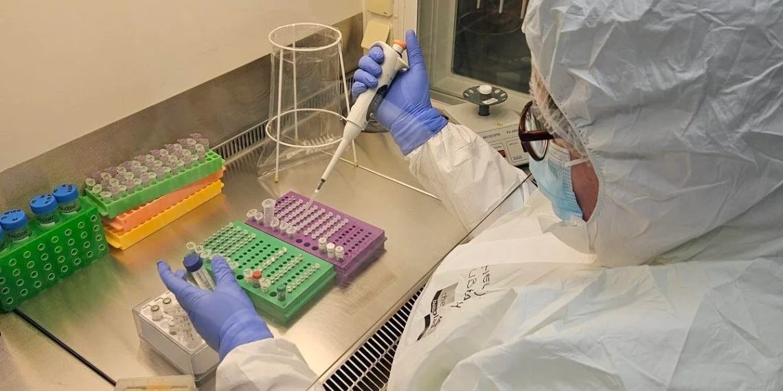 Дослідження вчених (Фото: University of Tartu Institute of Genomics Ancient DNA Laboratory)