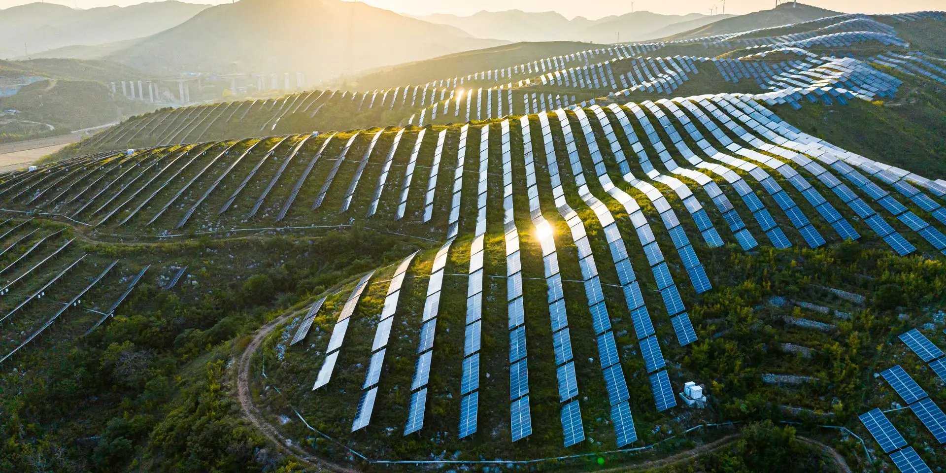 Солнечная ферма (Фото: interestingengineering.com)