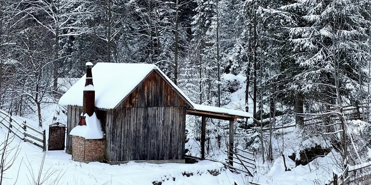 Зима в Украине (Фото: oksana.borovets/Threads)