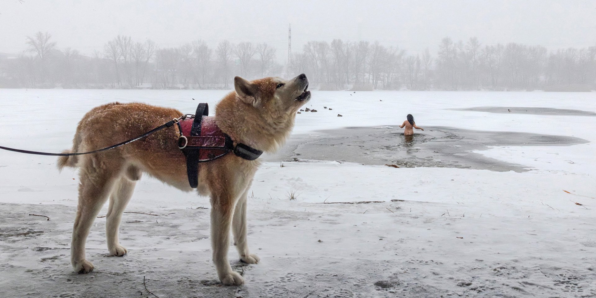 Цього тижня в Україні тривають морози (Фото: REUTERS/Thomas Peter)
