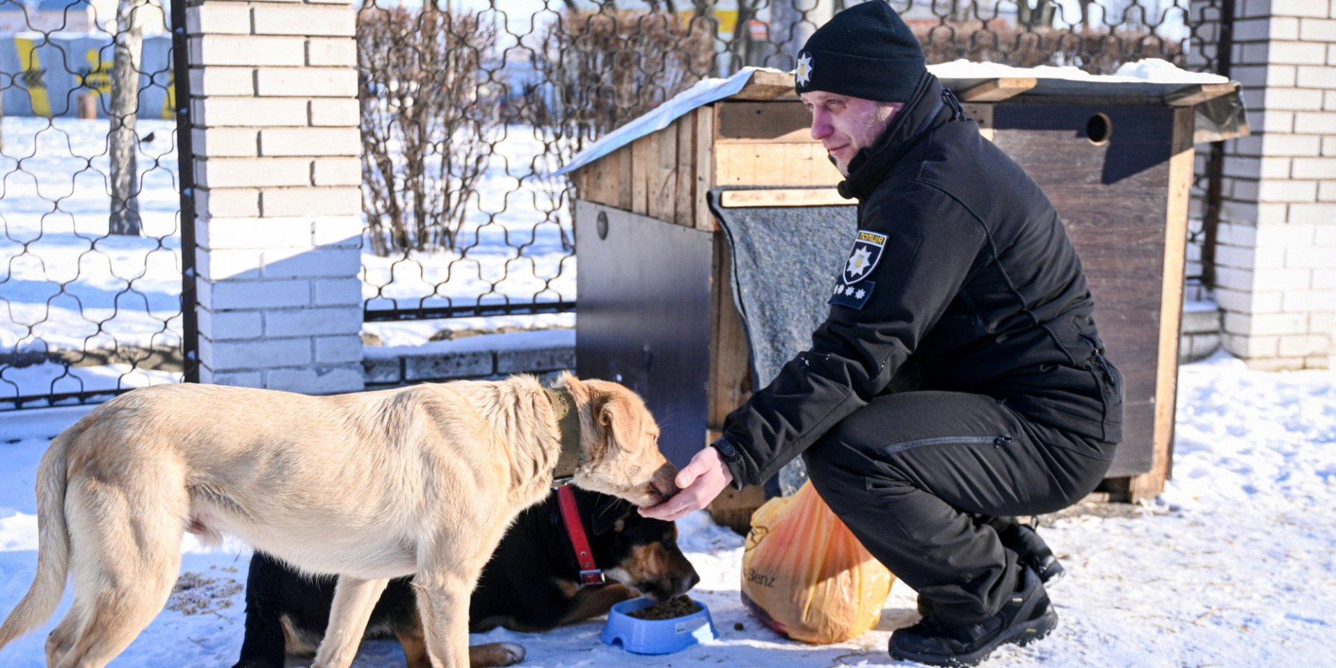 Zaporizhzhya police help stray animals (Photo: Ukraine's National Police)