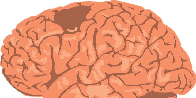 Главной проблемой современного лечения ишемического инсульта является так называемое реперфузионное повреждение (Фото: pixabay)