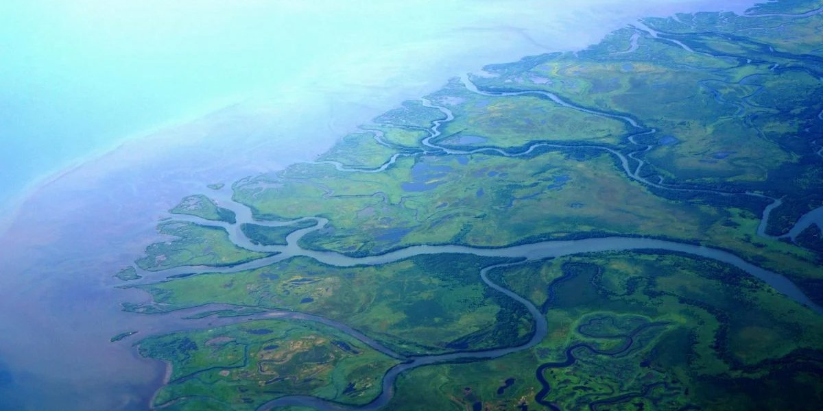 Дельта річок (Фото: depositphotos.com)