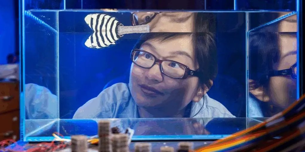 Роботизированная рыба с перепрограммируемым хвостом, плавающая в аквариуме (Фото: Duke University)