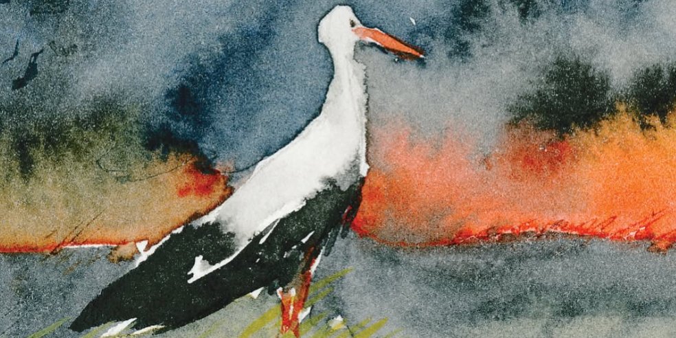 Иллюстрации войны в Украине собраны в книге Маргариты Винклер Homebound (Фото: Маргарита Винклер/Изображение из книги Homebound)