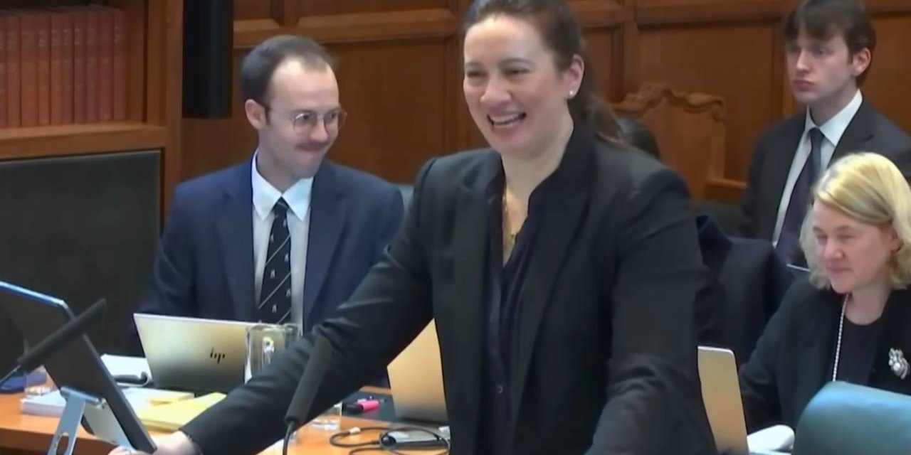 Курьез во время заседания Верховного суда Британии (Фото: Supreme Court of the United Kingdom/Скриншот)