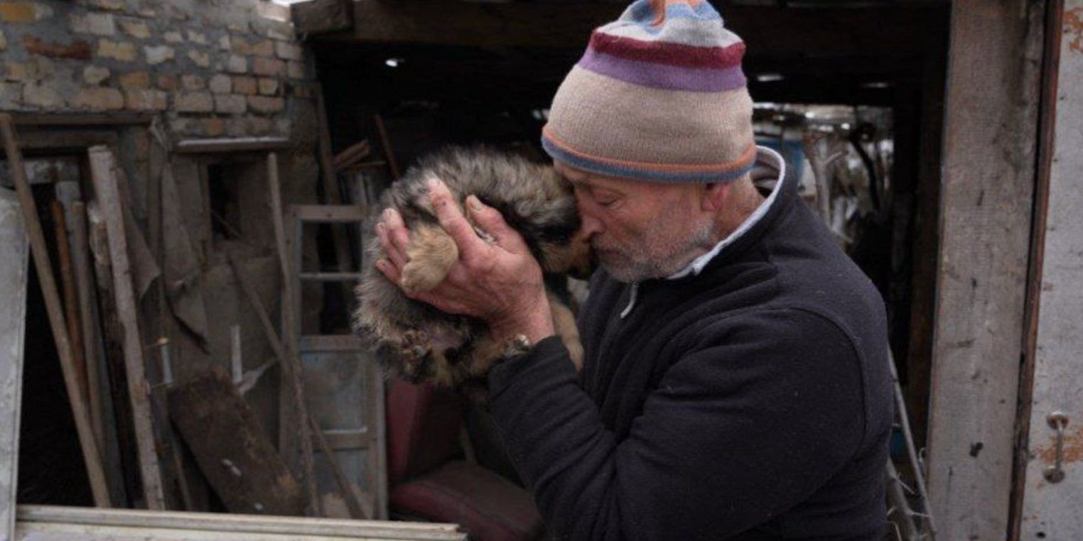 Residents of the frontline village of Prosyana care for hundreds of abandoned animals (Photo: Suspilne Dnipro)