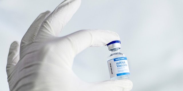 Новое исследование поможет улучшить технологию создания вакцин от коронавируса (Фото: pixabay)