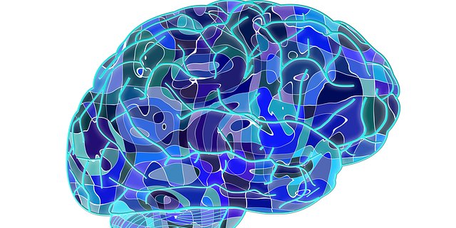 Эксперименты на моделях млекопитающих продемонстрировали, что всего двое суток без сна приводят к возникновению признаков окислительного стресса в пищеварительной системе (Фото: pixabay)