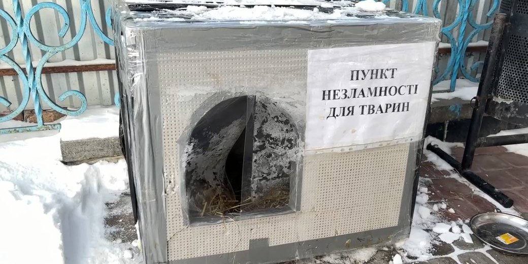 У Житомирській області облаштували «пункти незламності» для тварин (Фото: Василь Чепік/Суспільне Житомир)