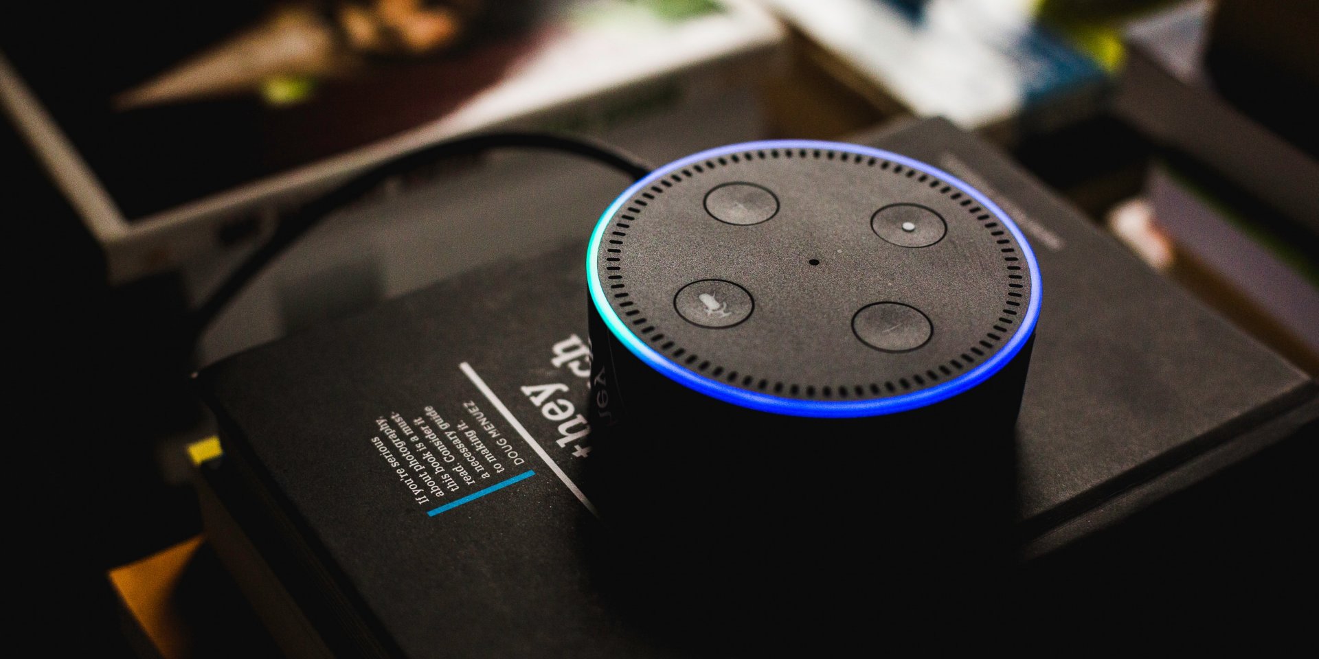 Alexa (Фото: Andres Urena / Unsplash)