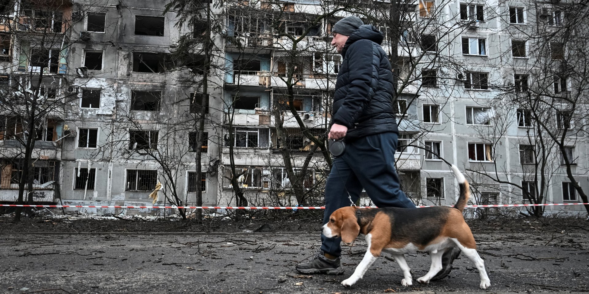 Мужчина с собакой гуляет возле жилого дома, пострадавшего от удара российского беспилотника, в Запорожье (Фото: REUTERS/Stringer)