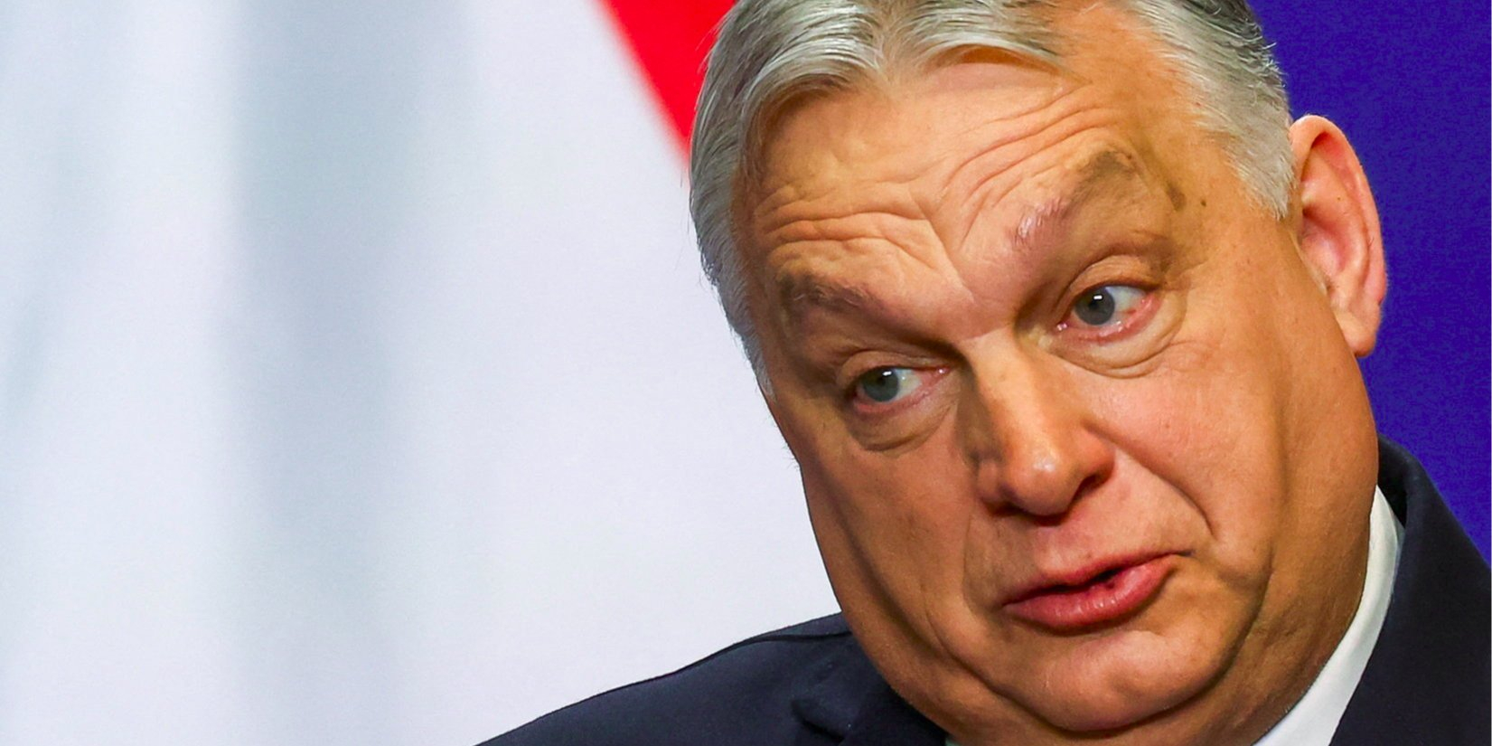 Viktor Orban (Photo: REUTERS/Bernadett Szabo)