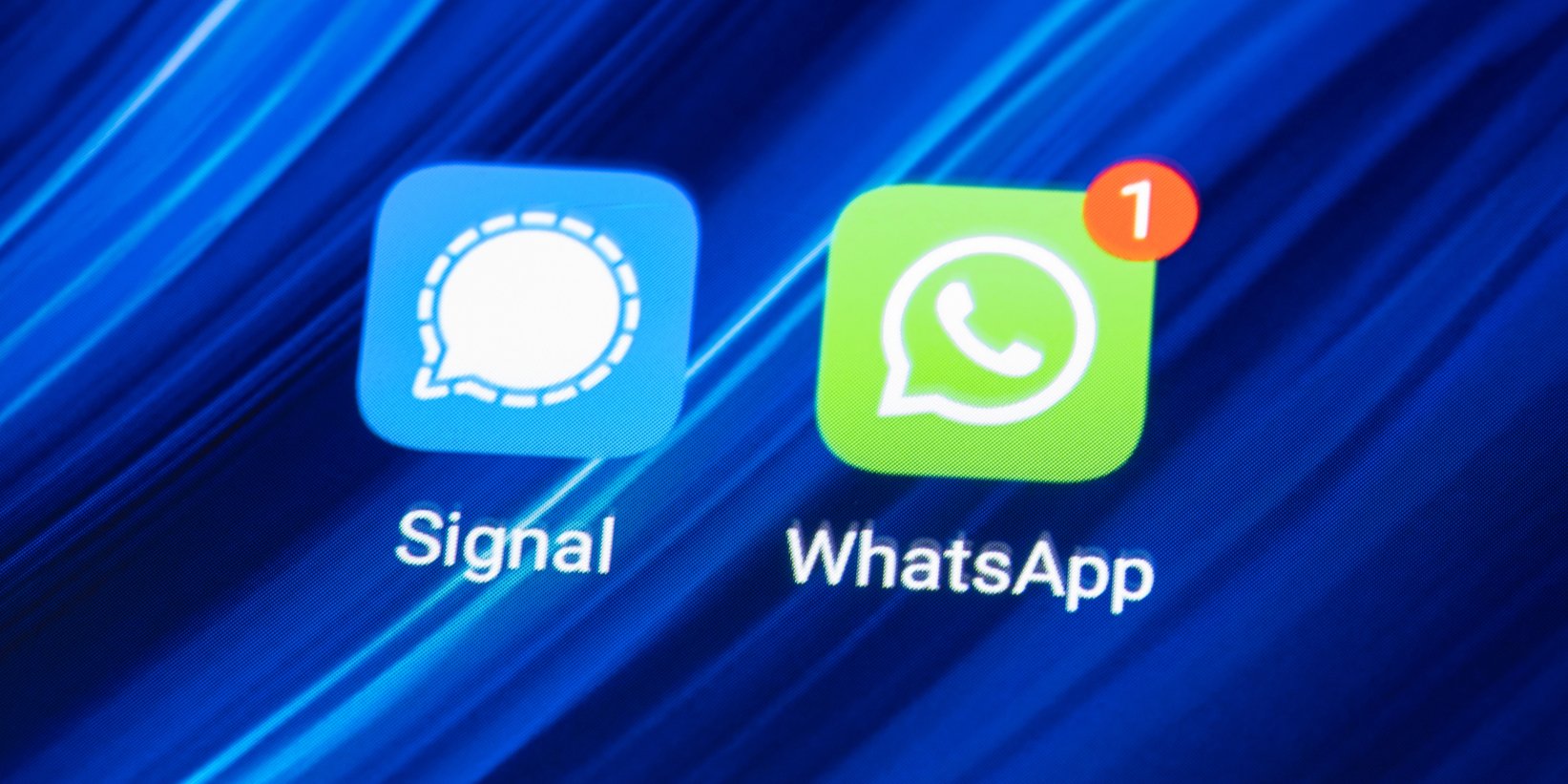 Лого Signal и WhatsApp (Фото: Depositphotos)