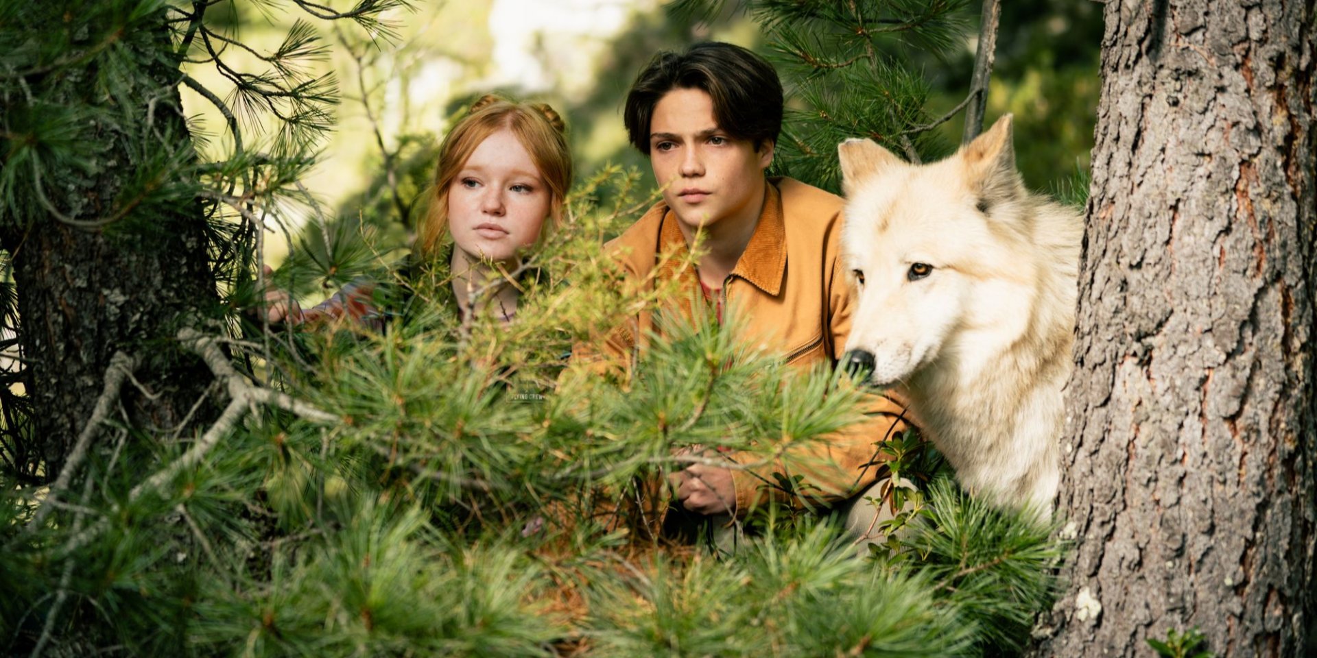 Кадр з фільму Хранителі лісу 2 (Фото: Green Light Films)