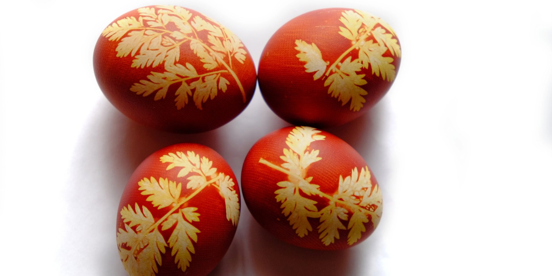«Не простое, а золотое». Как покрасить яйца без воска, писачка и химических красок: главные тренды 2026 года