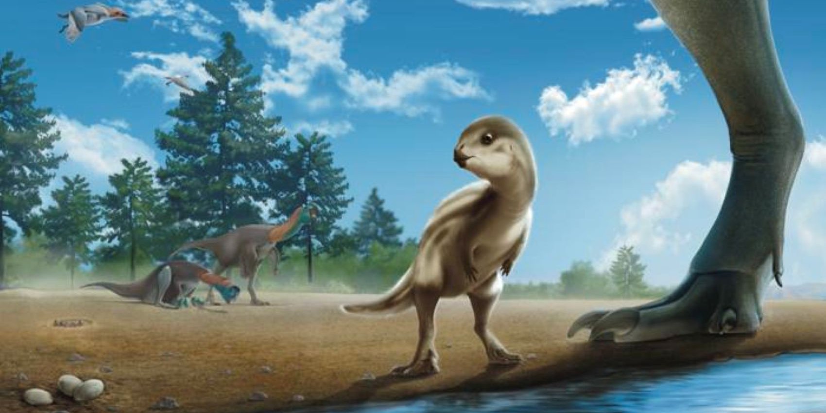 Художественное изображение Doolysaurus huhmini (Фото: Jun Seong Yi)