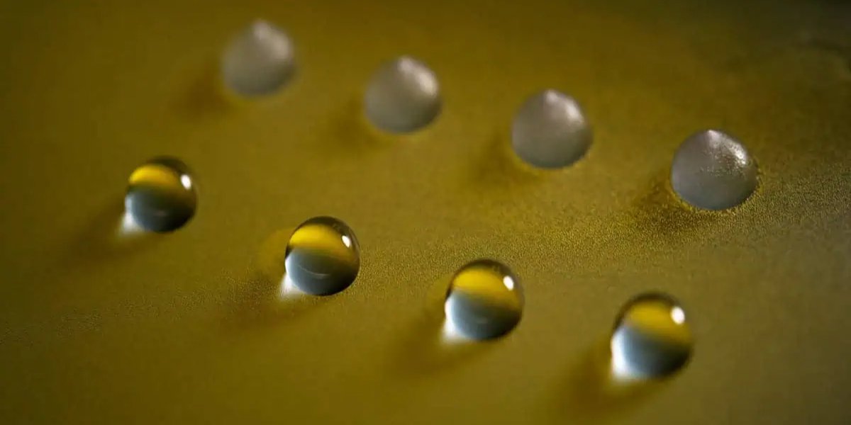 Природні генератори льоду. Вчені виявили гриби, здатні керувати погодою та змінити технології заморожування