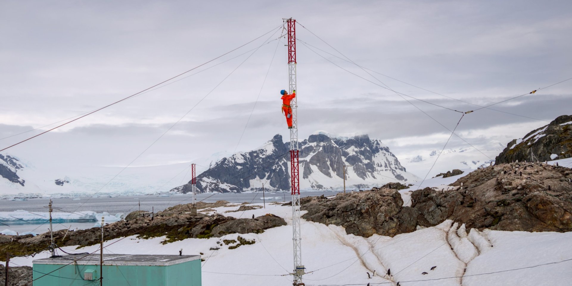 Победный рекорд. Украинские полярники получили четыре награды в конкурсе научных изображений для Википедии