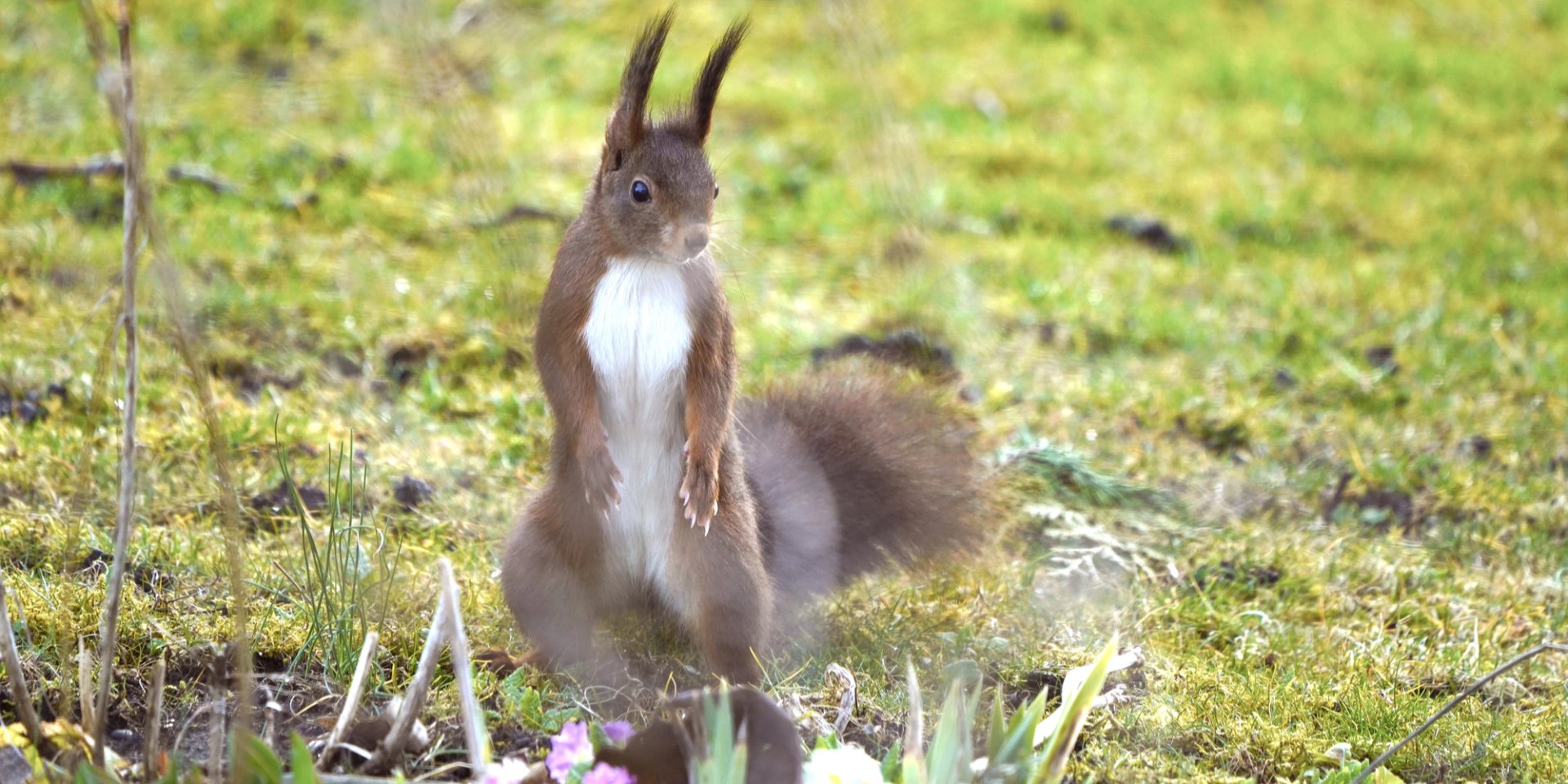 Погода как на заказ. Синоптик сообщила о потеплении до +17 градусов и в каких регионах пройдет дождь в Украине