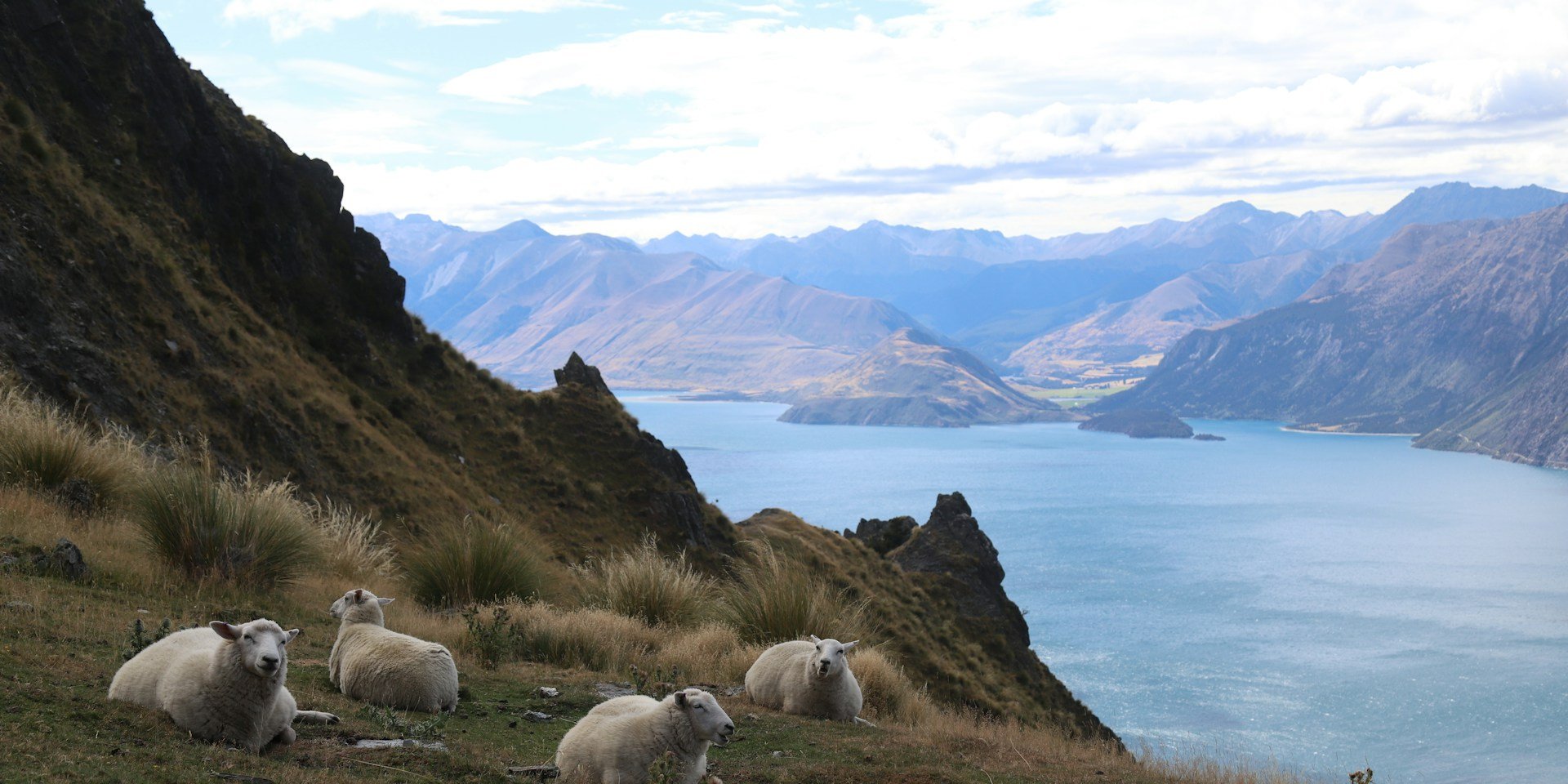 Капсула времени под слоем пепла. В Новой Зеландии нашли останки животных возрастом миллион лет