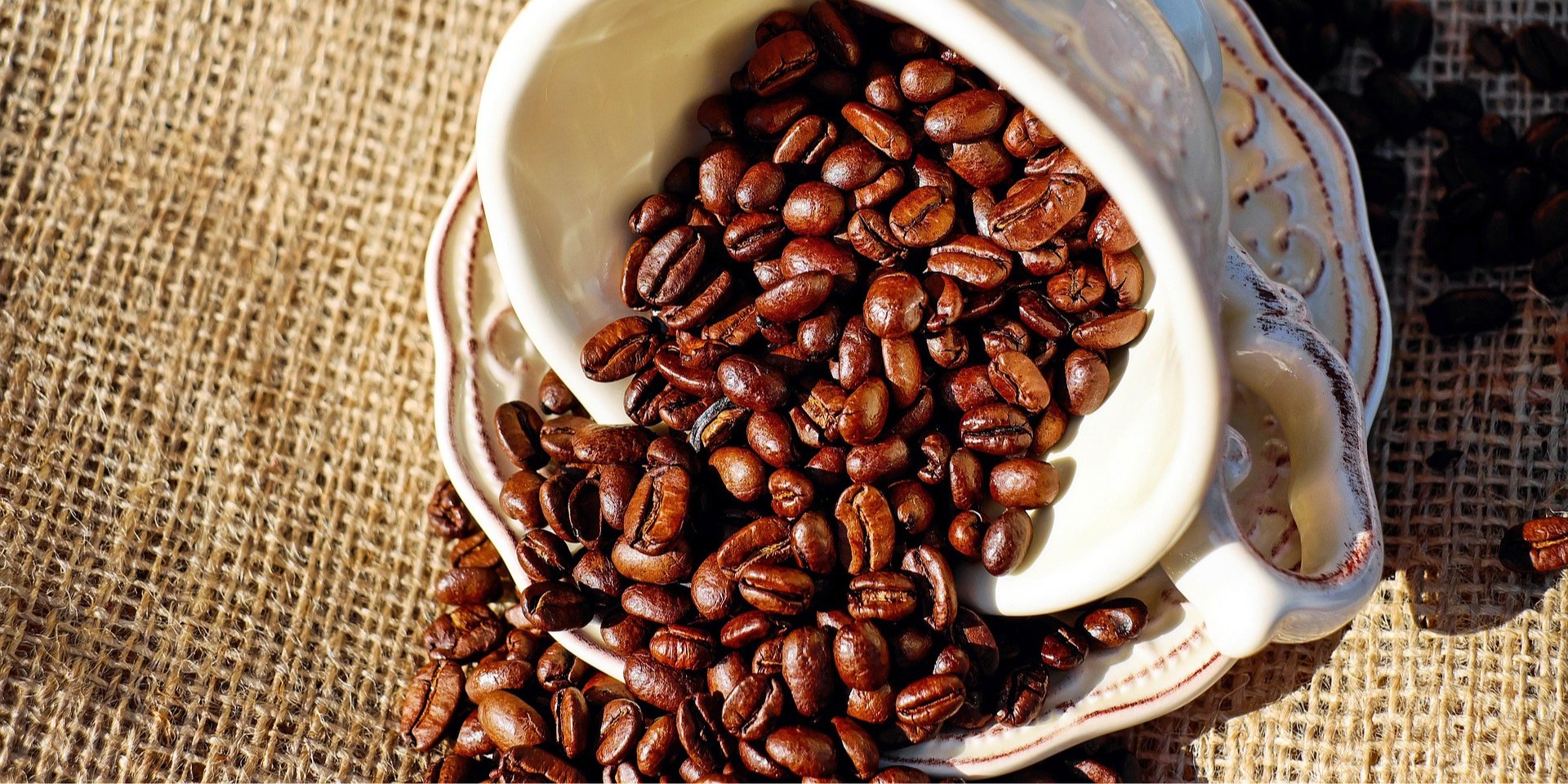 Бразильский фермер выращивает редкий кофе и планирует продать мешок за 20 тысяч долларов