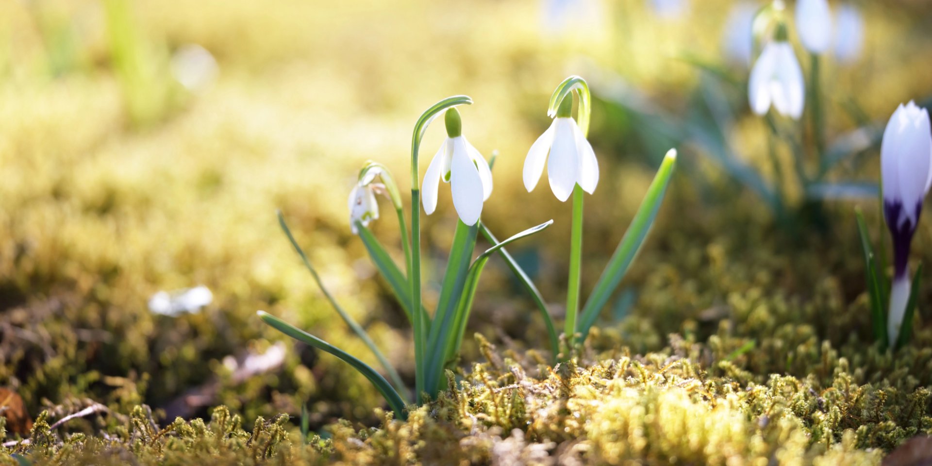 Выходные с особенностями. Синоптик сообщила, где пройдет дождь, какие области станут самыми холодными и как изменится температура воздуха