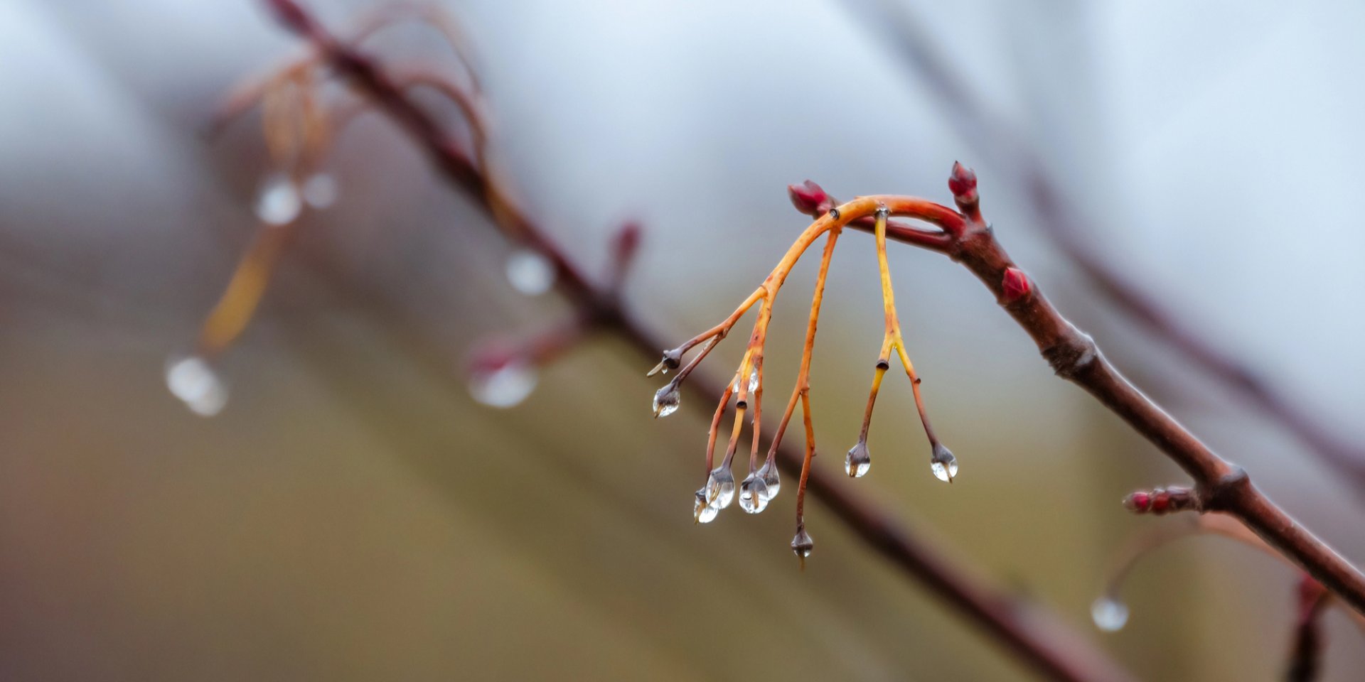 Дождей станет больше. Где вдвое увеличится количество осадков и насколько похолодает в начале недели в Украине