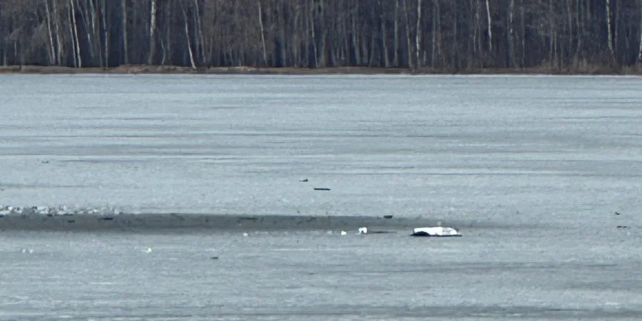 «Информационная операция Москвы»: Латвия опровергла утверждение о том, что Украина использует страны Балтии для ударов по РФ