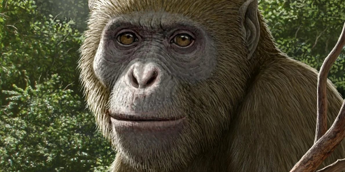 Реконструкция Masripithecus moghraensis, выполненная Маурисио Антоном (Фото: Профессор Хешам Саллам)