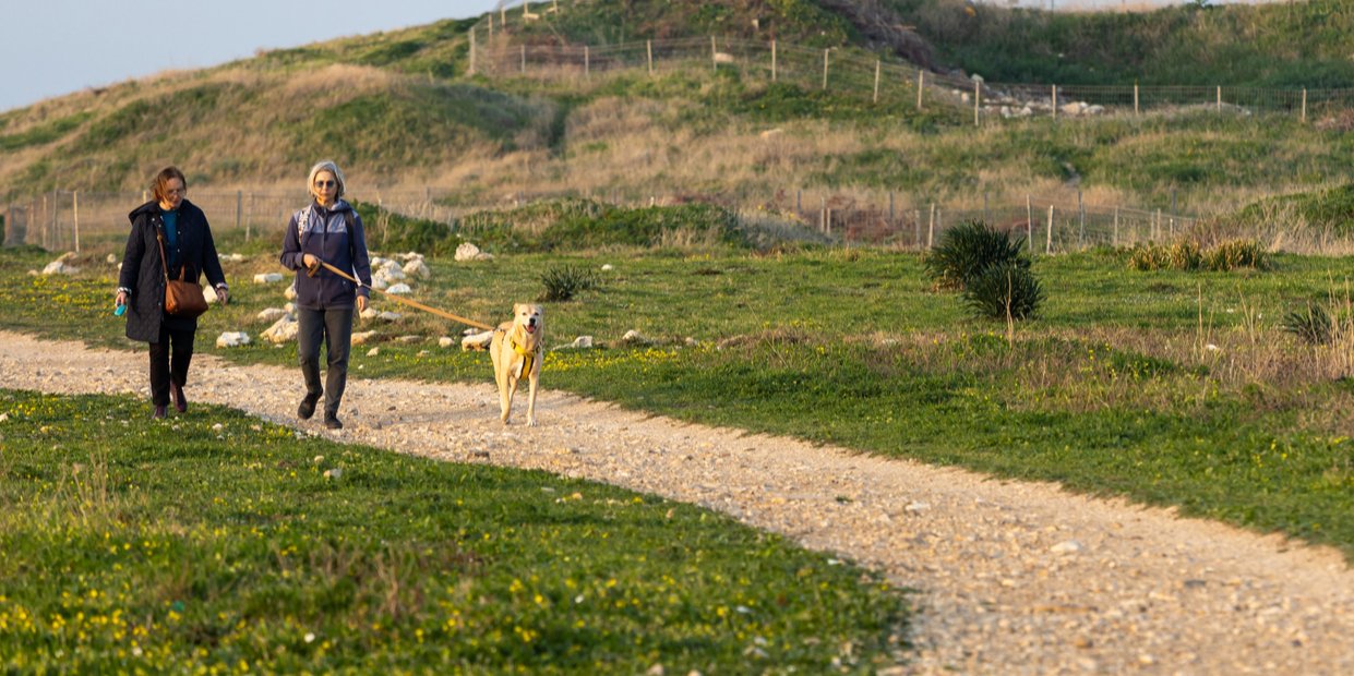 Метеорологическая угроза и аномальное тепло. Синоптики сообщили об особенностях погоды в последний выходной марта