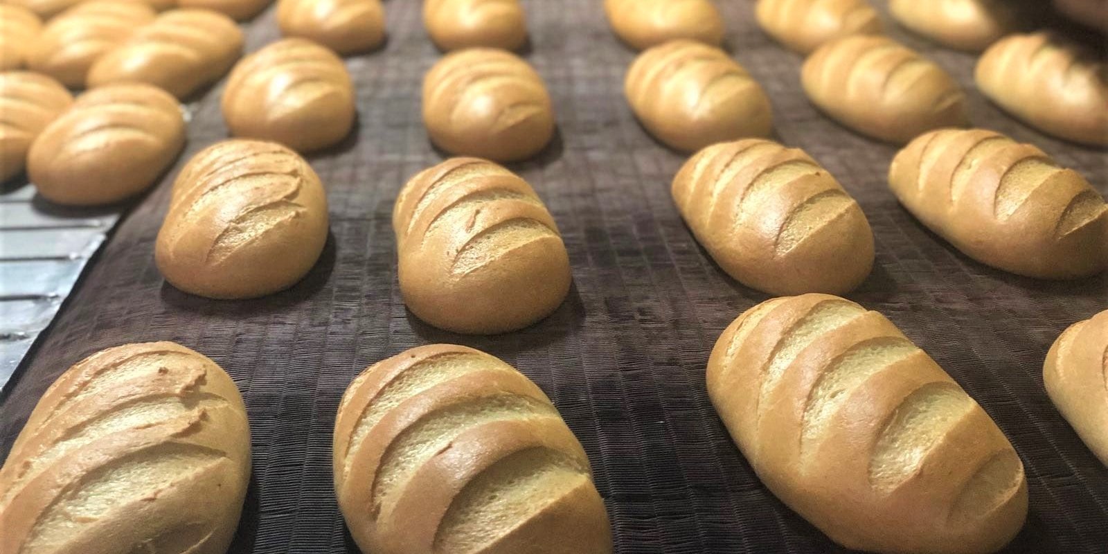 «Никто не заявил о прибыли в феврале». В Украине подорожает хлеб — производители объяснили, насколько и почему