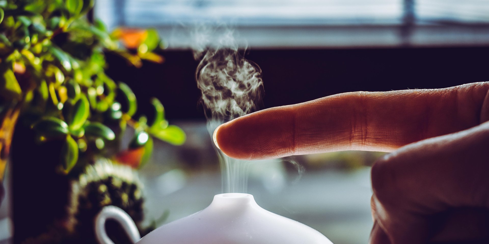 Очиститель воздуха против увлажнителя. В чем разница и какой девайс действительно нужен в ваш дом