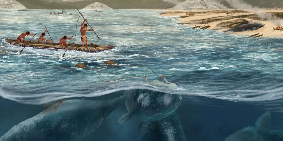 Тайна курганов самбаки. Археологи обнаружили следы китобойного промысла возрастом 5000 лет в Бразилии