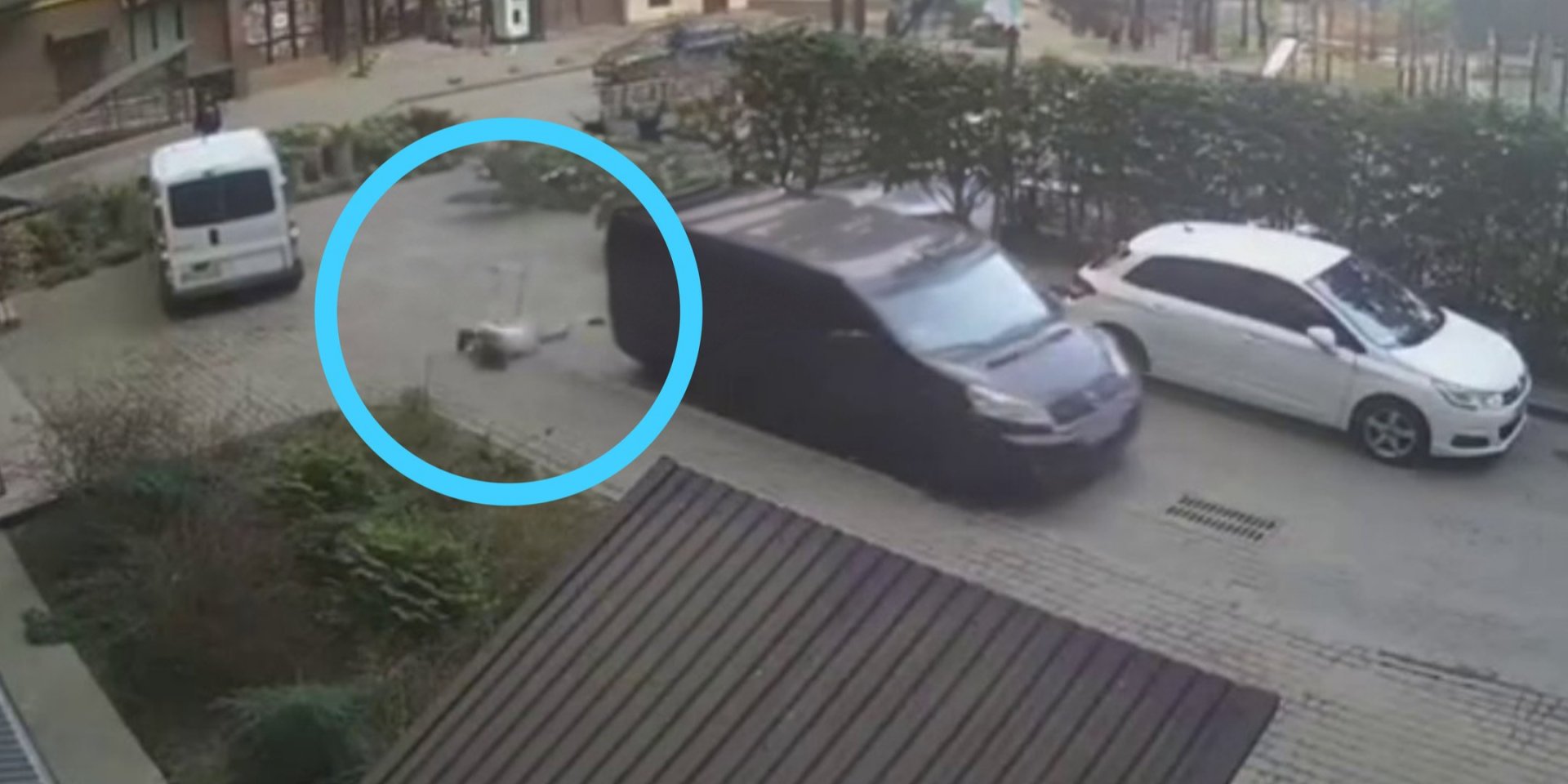 В Луцке беременная женщина вцепилась за бус работников ТЦК и упала, в терцентре отреагировали