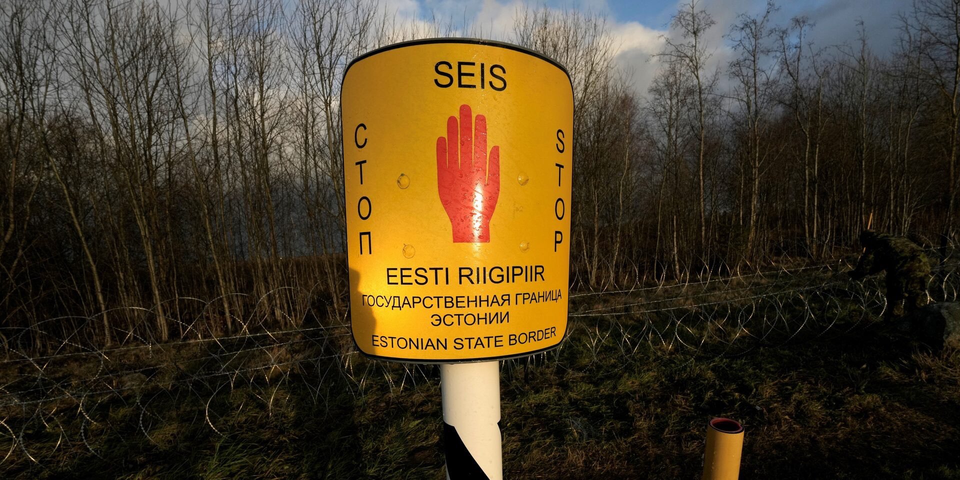 В Эстонии нашли обломки неизвестного дрона вблизи границы с Россией