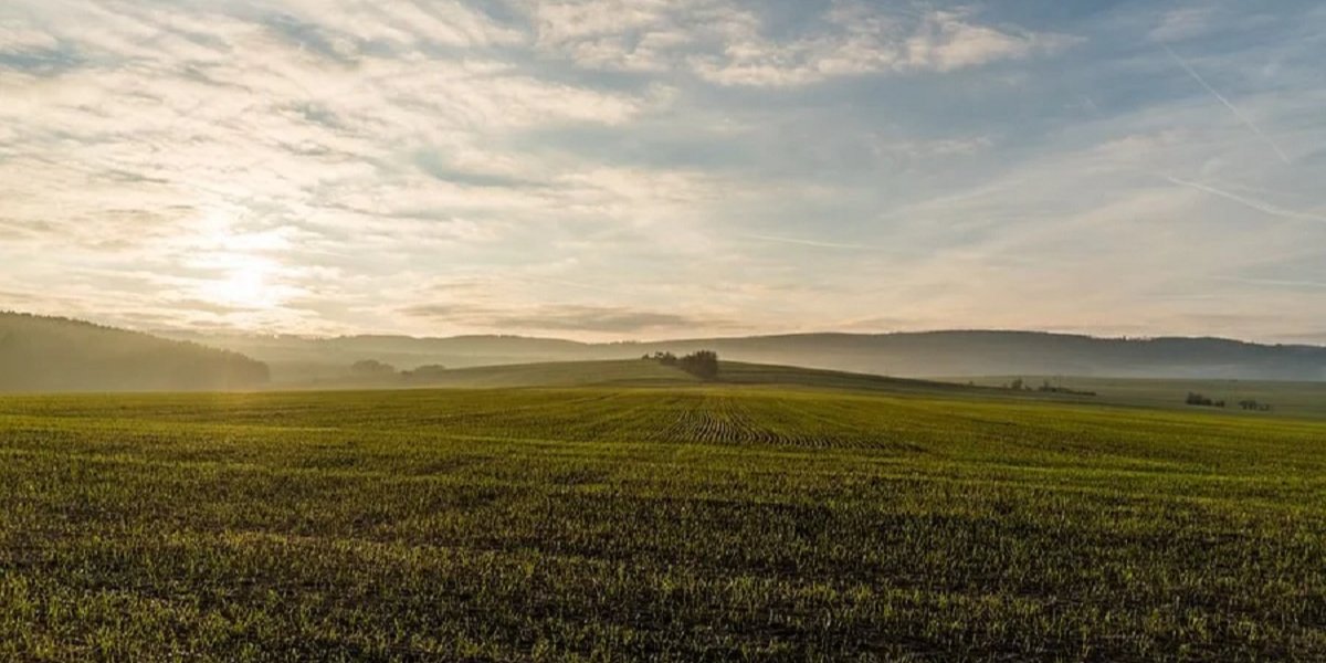 Рынок земли в Украине. Бизнес изменил приоритеты — что ищет и сколько готов платить