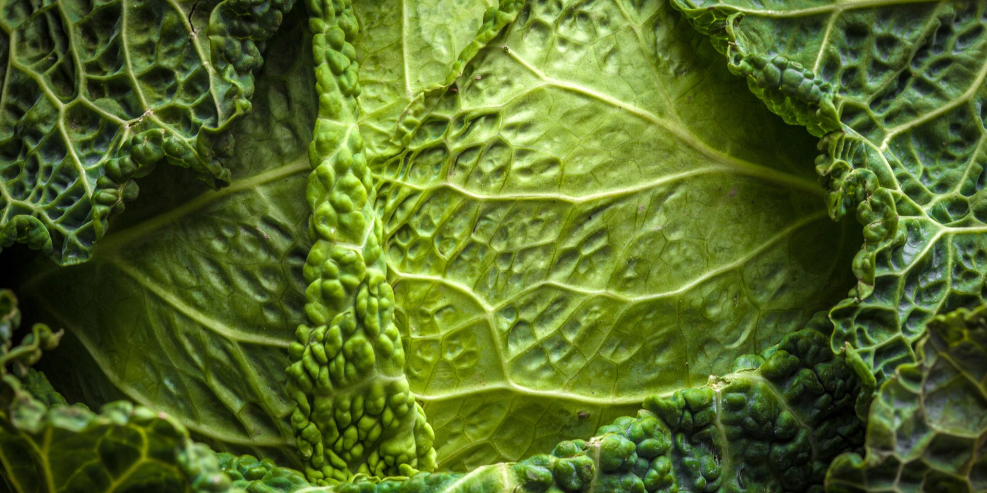 Почему все о ней говорят? Этот овощ стал новым трендом, о котором все говорят — он доступен в Украине и характерен для нашей кухни