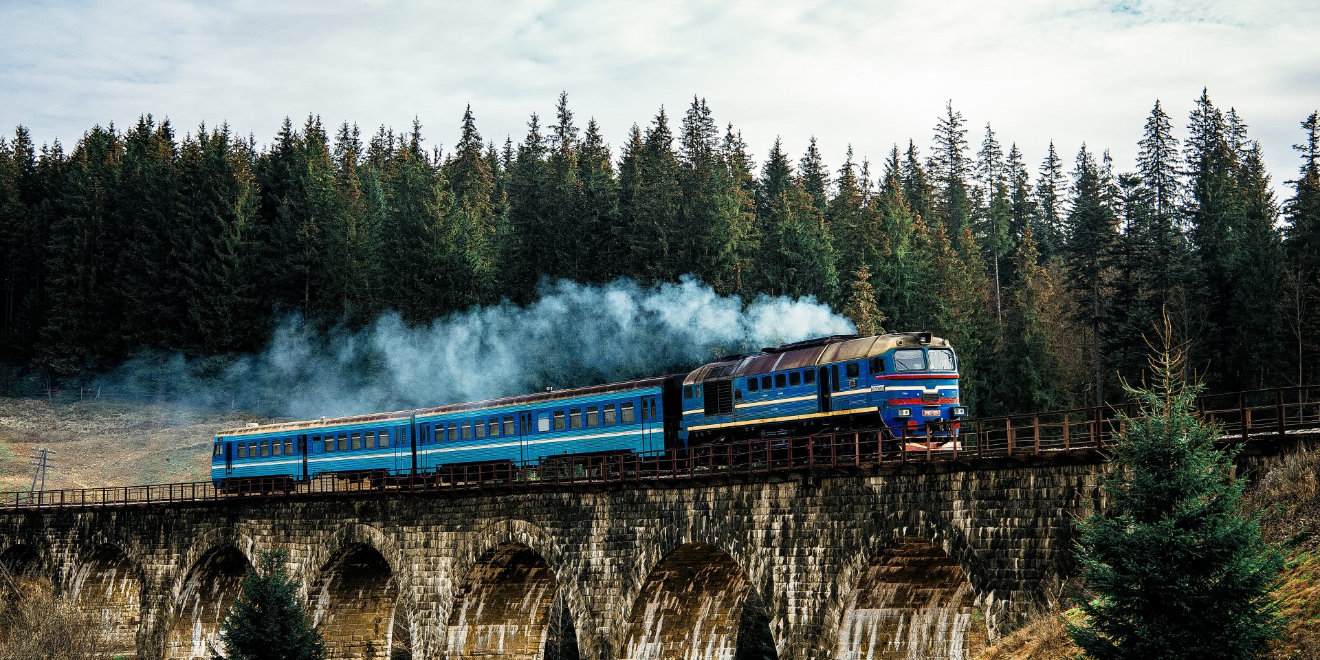 Гастрономический опыт. В Украине запустят поезд для знакомства с Гуцульщиной, где будут подавать блюда от шефа
