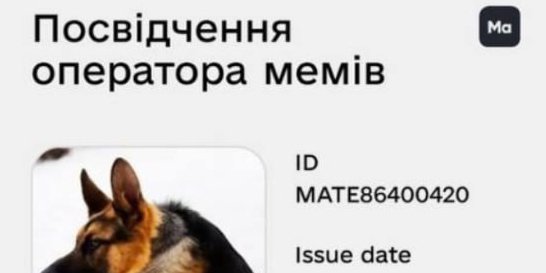 Дія запустила тест зі знання мемів (Фото: Соцмережі/Скриншот)