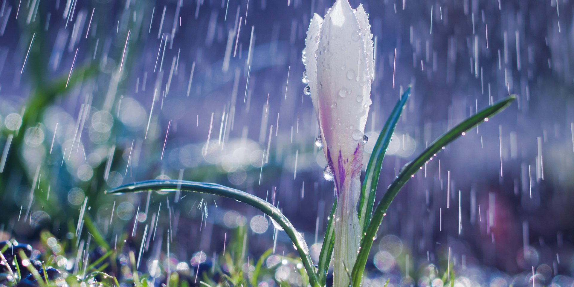 Влияние циклона уменьшится. Когда дожди прекратятся в большинстве областей и где ночью будет мороз в конце недели в Украине